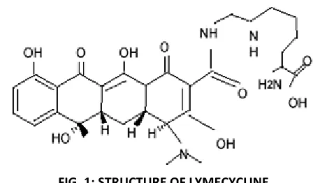 FIG. 1: STRUCTURE OF LYMECYCLINE 