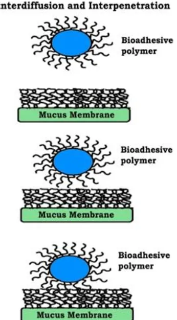 FIG. 4: WETTING AND SWELLING OF POLYMER9 