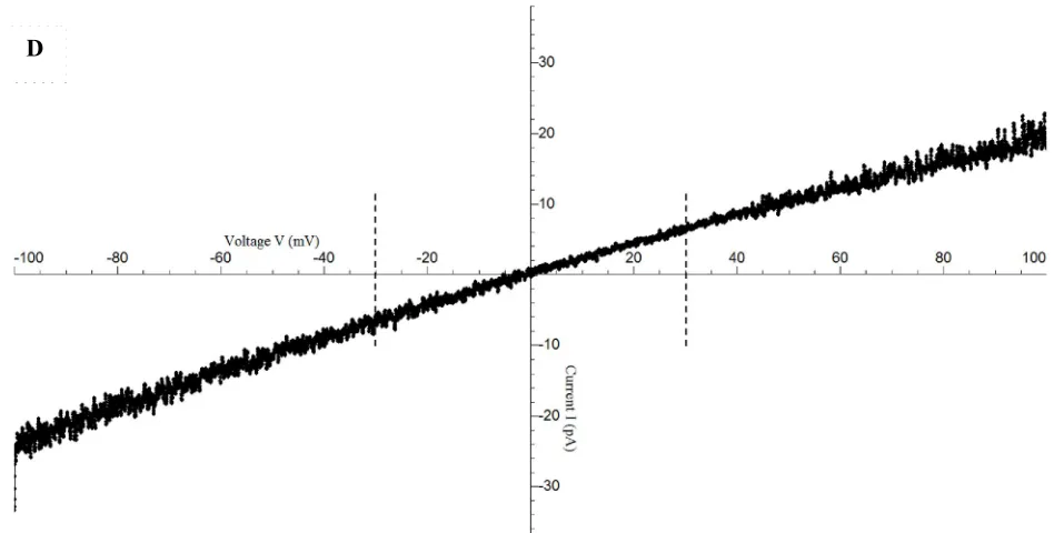 Figure 5 Measurement of single channel slope conductance of NanC in lipid bilayer. A. Ramp voltage pulse protocol