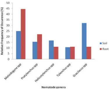 Figure 6. Occurrence of plant-parasitic nematodes in soil and 