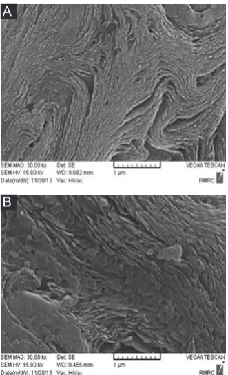 Figure 2. Effect of potassium permanganate concentration in the removal of 2-chlorophenol (2-CP).