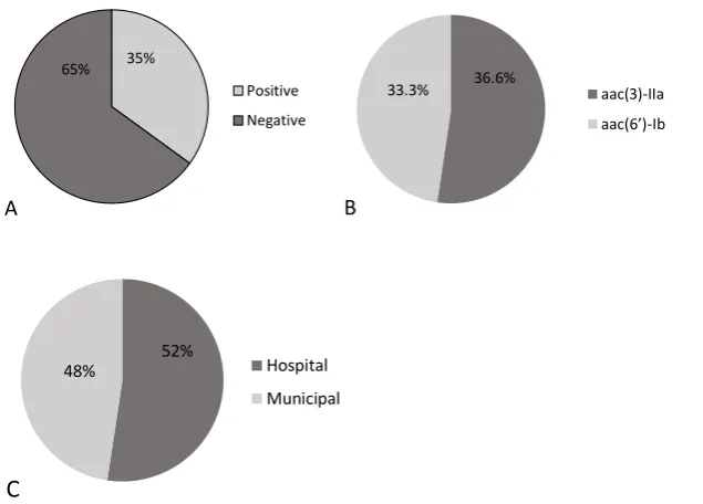 Figure 1. Aminoglycoside resistance genes, aac(3)-IIa (749) bp  and aac(6’)-Ib(524 bp).