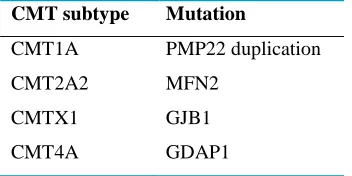 Table 1: The most common subtypes of CMT disease and the involved genes 