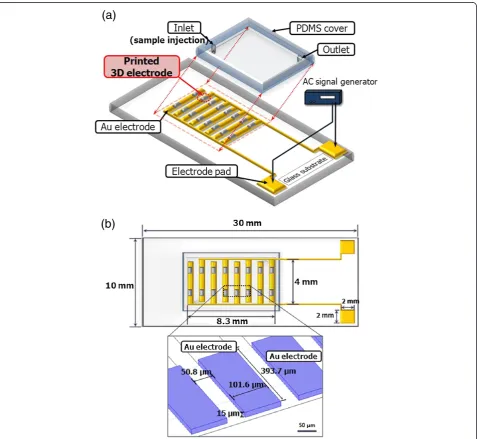 Figure 3 shows a schematic of the fabricated 3D DEP chip.The Au planar electrodes are fabricated on the glass wafer.on the rectangular Au electrode on the desired region asThe Au electrodes are patterned into the shape of a combdrive and used as bottom ele