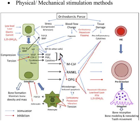 Figure 1. Summary of cellular and molecular mechanisms 