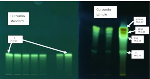 TABLE 3: RECOVERY STUDIES OF CURCUMIN 