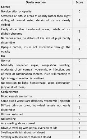 TABLE 2: OCULAR IRRITATION SCORING SYSTEM 