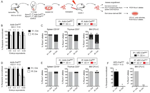Fig. 4. Runx1 is essential for pre-HSC/HSC formation in the AGM prior to E11.5. (as in C