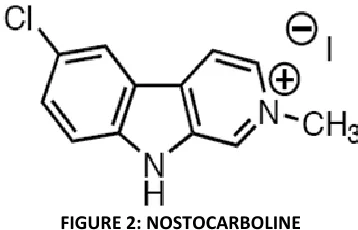 FIGURE 3: NORHARMANE 