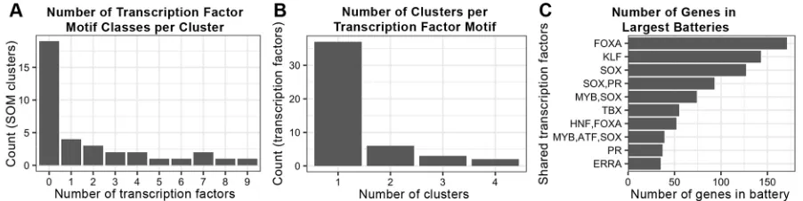 Fig. 4. Characteristics of enriched transcription factor binding motifs. (A) The number of transcription factor binding motifs enriched in each cluster.(B) The number of clusters that each transcription factor binding motif is enriched in
