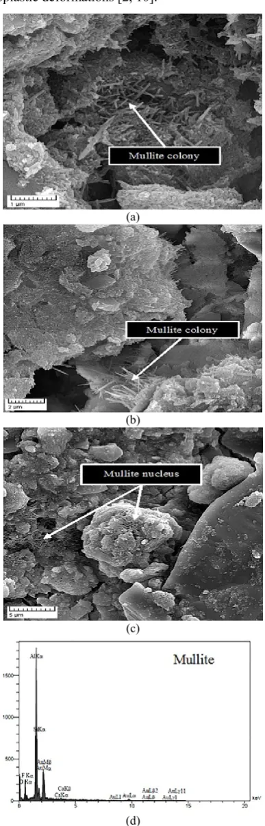 Figure 17. SEM-EDX for mechanical interlocked acicular mullite.  