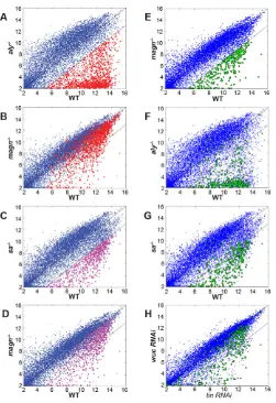 Fig. 7. Ubi-p63ERNAi [data from Doggett et al. (Doggett et al., 2011)].  is dispensable for the tMAC- and tTAF-dependentspermatocyte transcription program