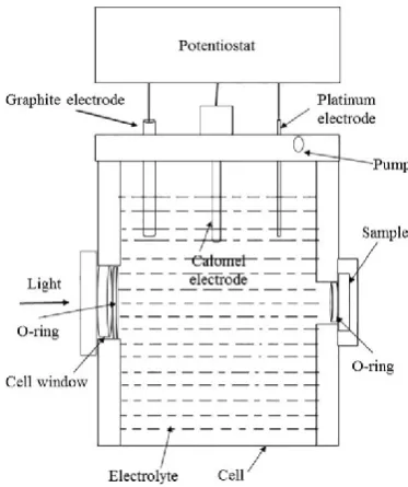 Figure 1. Fabricated electrochemical cell.