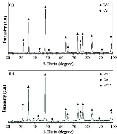 Fig. 2 shows the secondary electron micrograph of WC–Co-Cr powder. The morphology of this powder is almost spherical and porous