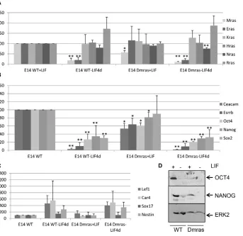 Fig. 2. Sustained knockdown of Mrasleads to decreased expression of Oct4