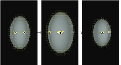 Figure 5 illustrates how the particles are processed at each