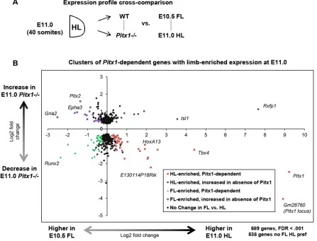 Fig. 2. Relation between limb-restricted expression and dependence on Pitx1and. (A) Expression profiling comparisons, matching stage-matched wt FL and HL Pitx1−/− HL analyses
