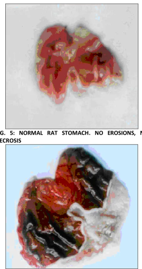 FIG. 1-8: PHOTOGRAPHS SHOWING ANTI-ULCER ACTIVITY 