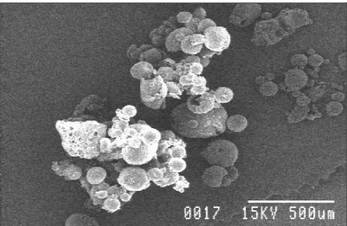 FIG. 4: SCANNING ELECTRON MICROGRAPH OF MICROCAPSULES (MC4) UNDER LOWER RESOLUTION OF X 30 