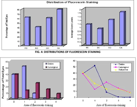 FIG. 4: DISTRIBUTIONS OF FLUORESCEIN STAINING 