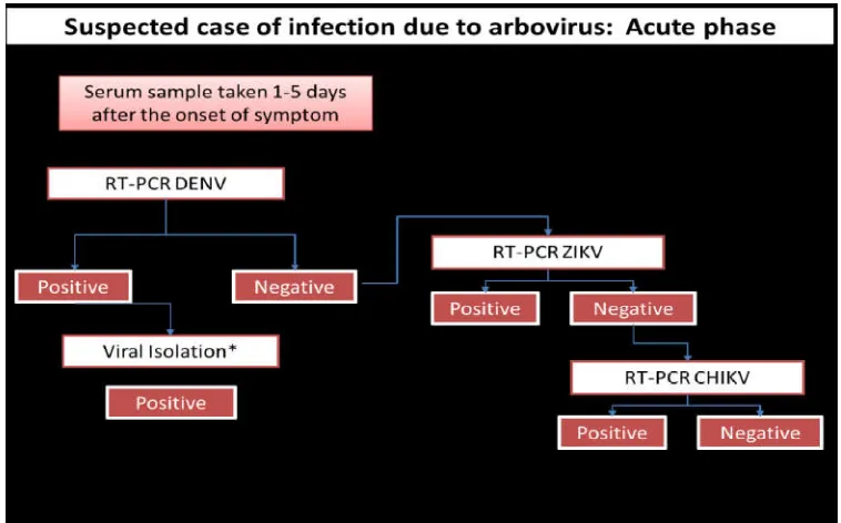 Table No.3 Characteristics of reported cases of congenital malformation potentially linked with   zika virus infection in Brazil (AS OF 18 JANUARY 2016)   