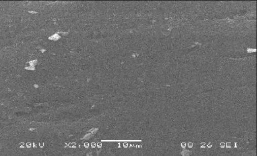 FIG. 7: SEM OF TABLET CONTAINING CAMPHOR BEFORE SUBLIMATION 