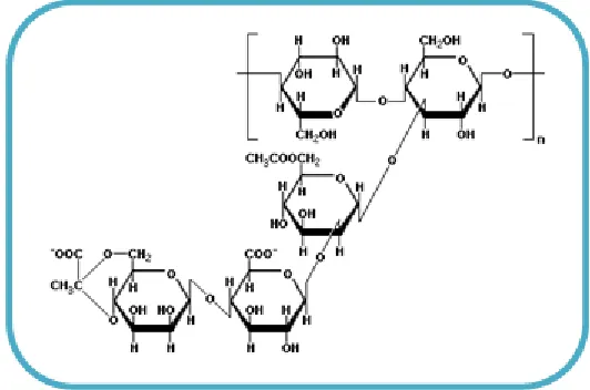 Figure 1. Molecular structure of Xanthan gum. 