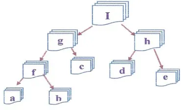 Figure 1. Taxonomic system of subkernels sub-kernels. 