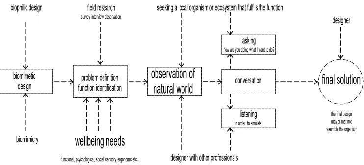 Figure 4. Biomimetic design process 