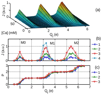 Figure 2 (a) and (b) demonstrate our main result - the appearance of regular structure in the Ca2+ ion current J as a function of Qf, and [Ca], comprising areas of high conductance (conduction bands) M0, M1, M2 separated by almost zero-conductance stop-ban