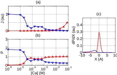 Figure 4. AMFE in a mixed salt bath for the M1 channel. (a),(b) Sodium (blue, point-down, triangles) and calcium  (red, point-up, triangles) currents  J and occupancies P vs Ca2+ concentration [Ca] in the highly-selective M1 channel for [Na]=30mM
