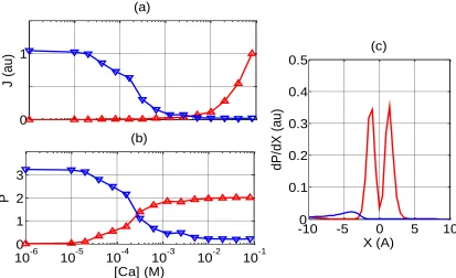 Figure 5. AMFE for a mixed salt bath for M2 channel. (a),(b)  Sodium (blue, point-down, triangles) and calcium  (red, point-up, triangles) currents J and occupancies P vs Ca2+ concentration [Ca] in-selective M2 channels for [Na]=30mM