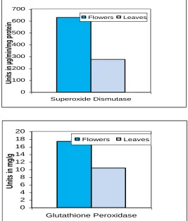 FIG. 1: ANTIOXIDANT ACTIVITY, SUPEROXIDE ANION RADICAL ACTIVITY,  LIPID PEROXIDATION ACTIVITY, TOTAL PHENOLIC AND TOTAL FLAVONOID CONTENT OF CRUDE NERIUM INDICUM FLOWERS AND LEAVES   