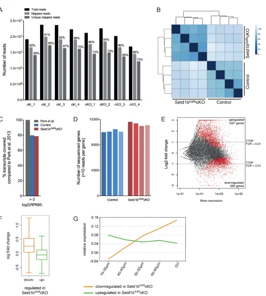 Fig. 3. Single-cell RNA profiling of Setd1b(10-30 µm) and fully grown oocytes (GV stage)