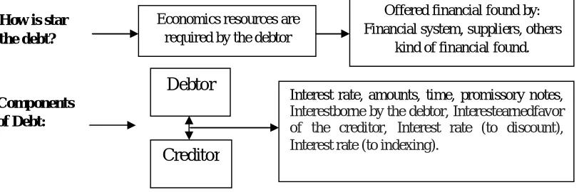 Figure 1: Component of Restructuring Debt (Adapted from García-Santillán and Vega-Lebrúm, 2008) 