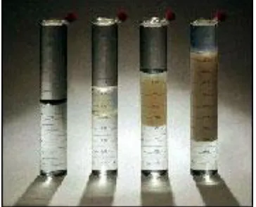 FIG. 1: MICROEMULSIONS. 