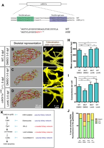 Fig. 6. cdk5r1a(E-G) Projected colocalization signal imagescomputed based onlarvae at 5 dpf