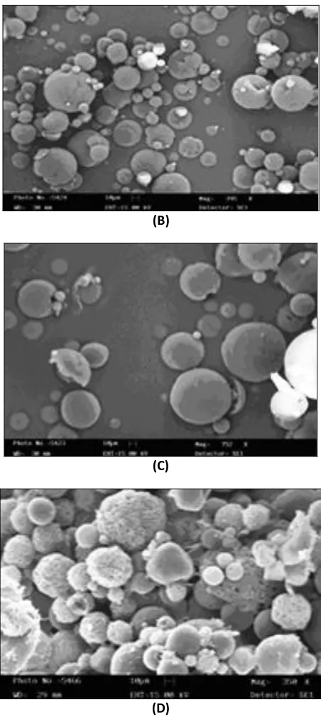 figure 1). (C) 