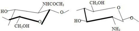 FIG. 1: STRUCTURAL UNITS OF CHITOSAN AND ITS PARENT 