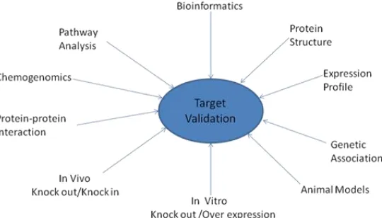 FIG. 7: TARGET VALIDATION INVOLVES LINKING PUTATIVE TARGETS TO BIOLOGICAL FUNCTION IN HEALTHY AND DISEASED STATES 