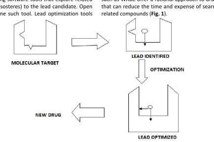 FIG 1: LEAD OPTIMIZATION PROCESS 