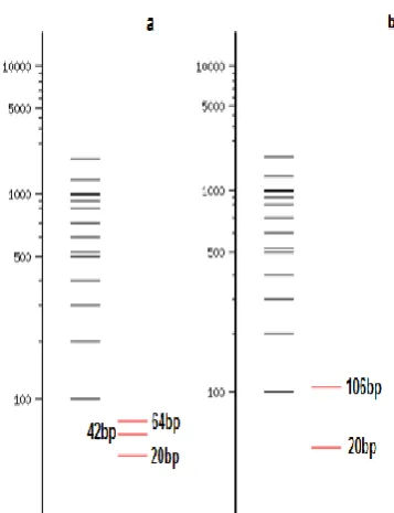 Fig.  2