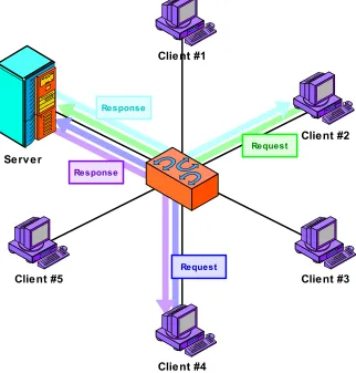 Figure 6: Client/Server Networking