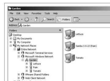 Figure 1-2. Viewing the members of a workgroup using My Network Places on a Windows client
