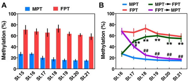 Fig. 6. Temperature-dependent differential methylation of the Dmrt1FPT21. DNA methylation levels of thepromoter region in gonads at constant MPT and FPT from stages 15 to 21