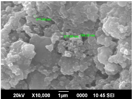 Figure 6.  SEM image of Schiff base complex of  Zr (IV) 