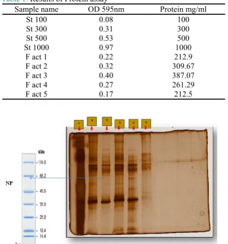 Table 1. Results of Protein assay 