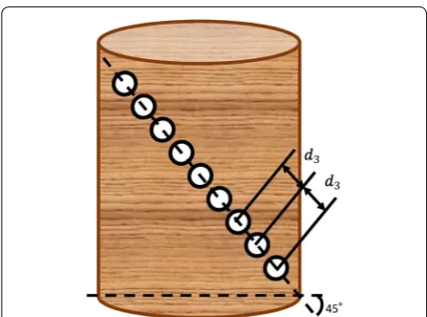 Fig. 6 Proposed drilling method B. In proposed drilling method B, a line of holes is made at 45 (°) against the longitudinal direction of the tree so that the angled holes affect sharing force to the fibers of the tree