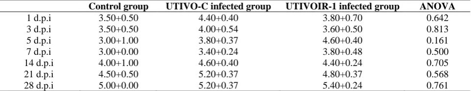 Table 1: Creatinine levels (mg/dL) measured using an auto analyzer in serum samples of chicken in control and UTIVO-C and UTIVOIR-1 viruses infected groups on days 1, 3,5,7,14,21 and 28 post infection