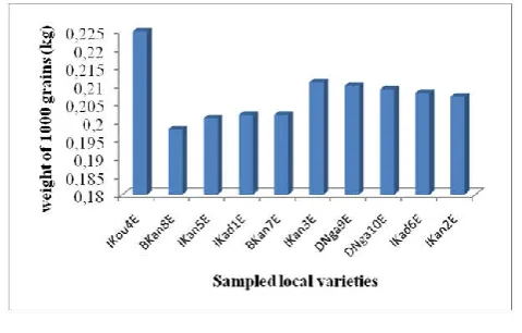 Figure 3. Number of grains by row of the local varieties of corn  